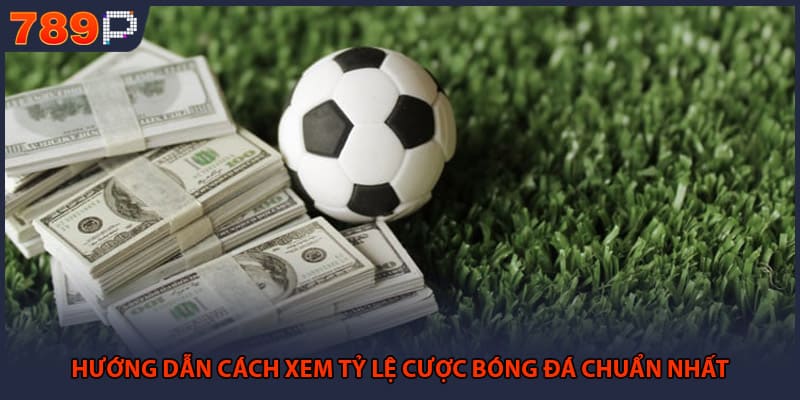 Hướng dẫn cách xem tỷ lệ cược bóng đá chuẩn nhất
