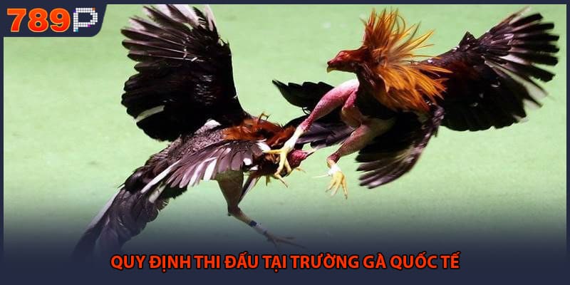 Quy định thi đấu tại trường gà quốc tế